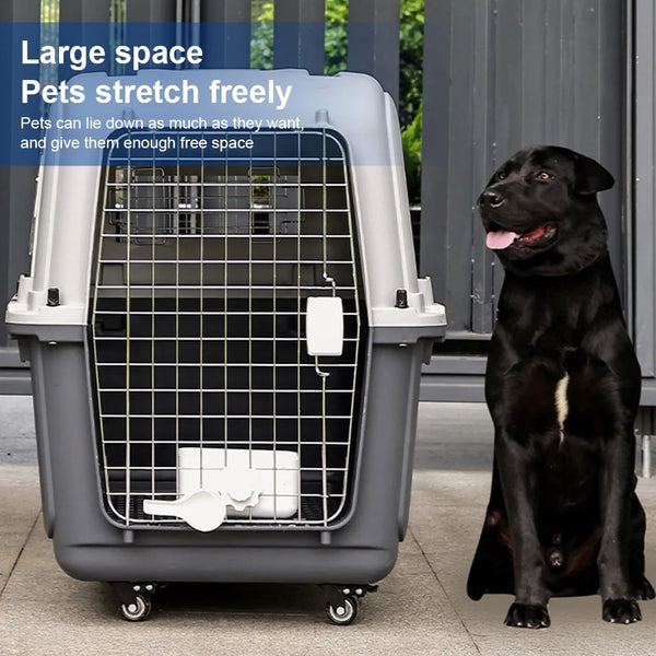 Airline Friendly Pet Carrier