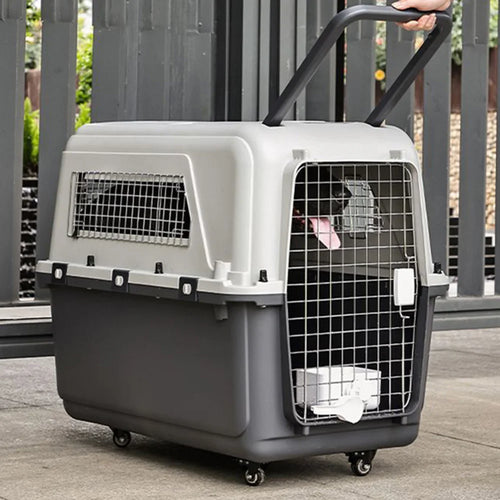 Airline Friendly Pet Carrier